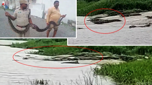 rainfallhazards rainfallhazards