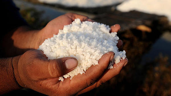 Vastu tips: If these things fall from the hands, financial loss, inauspicious.. Be careful!!