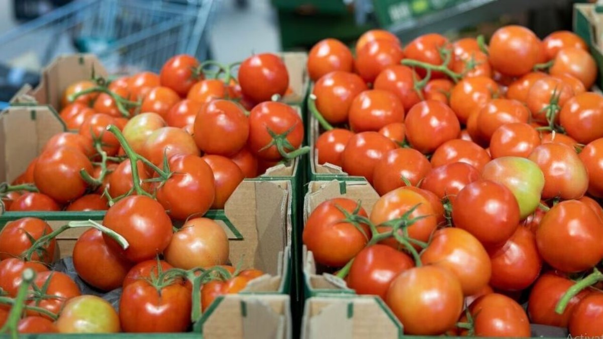 Tomato prices Tomato prices