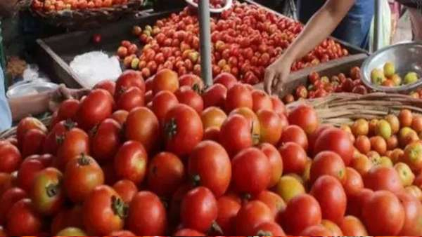 NAFED open counters to sale Tomato with subsidy rates rs 70 per kg across the country