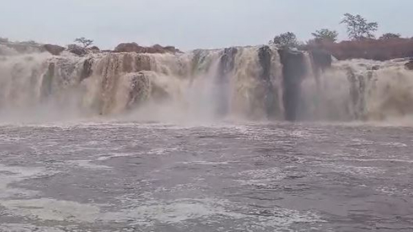 Bogatha Video: Bogatha Video: