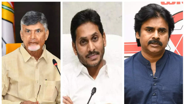 AP Survey Results: AP Survey Results: