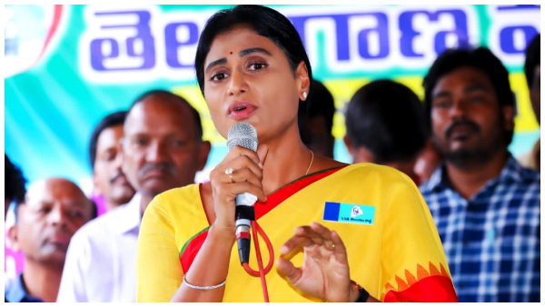 yssharmila1 yssharmila1