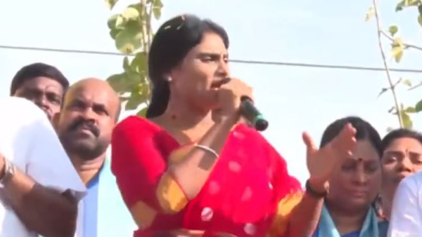 YS Sharmila 