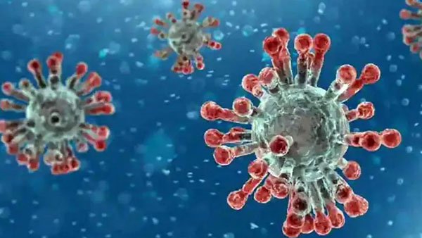 WHO monitoring highly mutated new Covid variant BA.2.86
