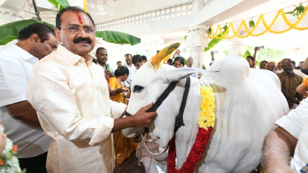 Bhumana Karunakar Reddy Took Oath as TTD Chairman in Srivari Temple on Thursday