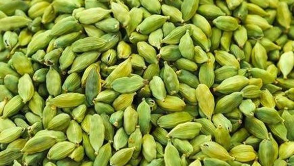 Blood pressure controlling properties of cardamom 