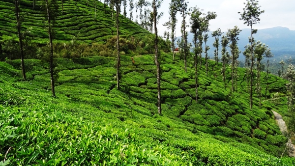 Mother and daughter who succeeded as panchayat president and vice president in Chikkamagaluru Mother and daughter who succeeded as panchayat president and vice president in Chikkamagaluru