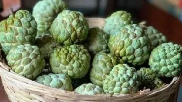 Custard apples