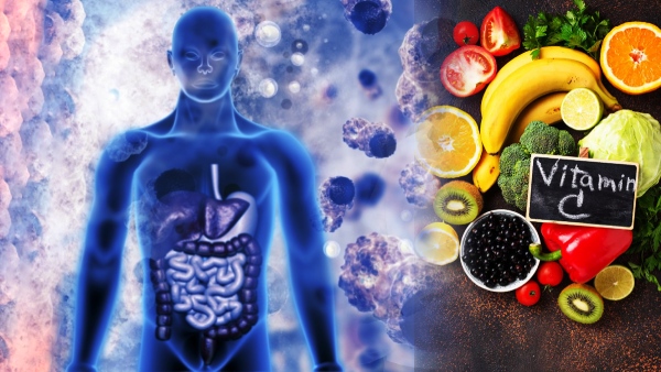 health benefits and uses in telugu
