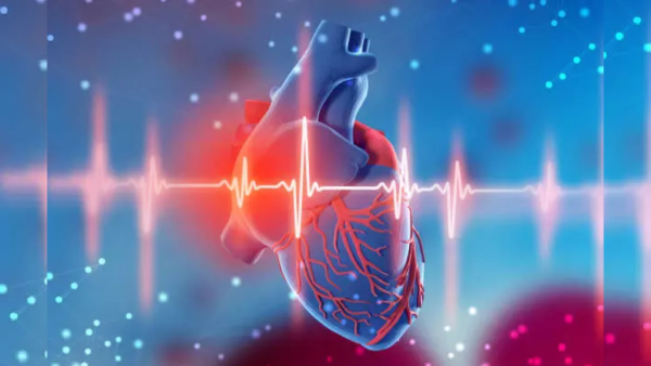 ys jagan government to launch STEMI pilot project to control heart-related deaths