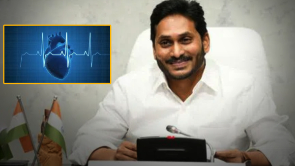 ys jagan government to launch STEMI pilot project to control heart-related deaths