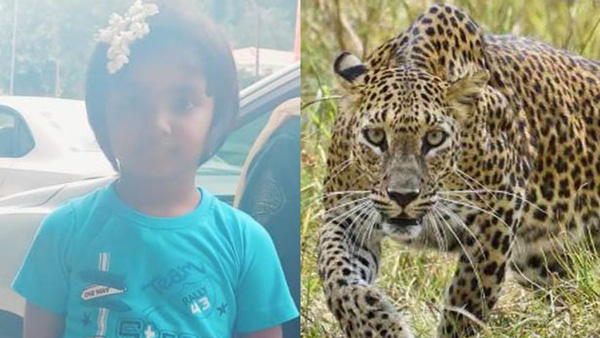 Leopard killed girl in Alipiri - Tirumala path way, TTD Officials Alerts the devotees