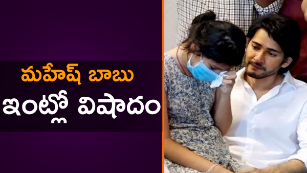 mahesh babu pet dog pluto died