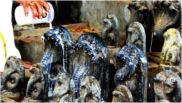 day after tomorrow naga panchami in 