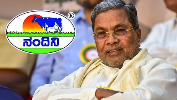 nandinimilkdairysiddramaiah