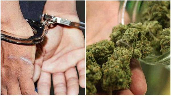 Police nab a dealer selling ganja chocolates in Bengaluru. Police nab a dealer selling ganja chocolates in Bengaluru.