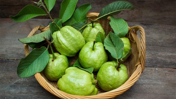 black guava health benefits and uses 