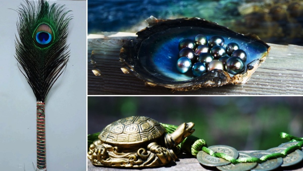 good luck will come to home with coconut