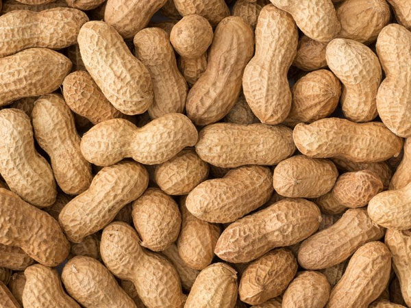 five nuts health benefits and uses in telugu