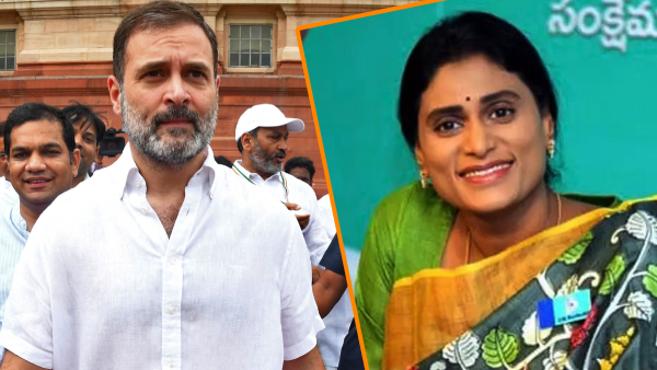 ys sharmila welcomes rahul gandhi re-entry as mp, extends moral support to no-confidence motion ys sharmila welcomes rahul gandhi re-entry as mp, extends moral support to no-confidence motion