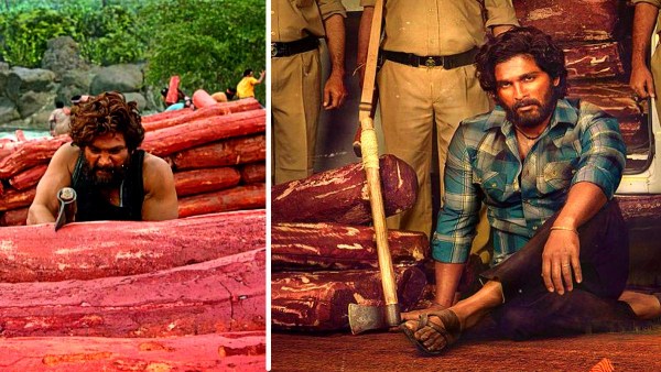 Bengaluru forest officials killed those who were cutting red sandalwood trees in an encounter Bengaluru forest officials killed those who were cutting red sandalwood trees in an encounter