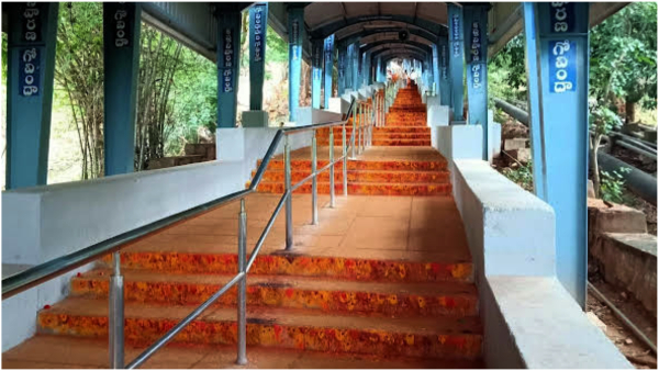 Peddireddy Ramachandra Reddy given assurance to solve the Leopard issue in Tirumala