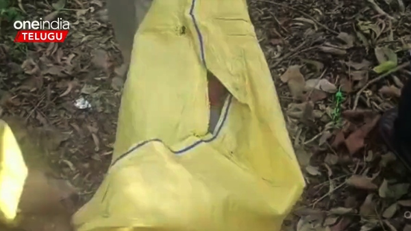 Forensic report Confirms that the leopard killed a 6-year-old girl Lakshihta in Alipiri-Tirumala walk way Forensic report Confirms that the leopard killed a 6-year-old girl Lakshihta in Alipiri-Tirumala walk way