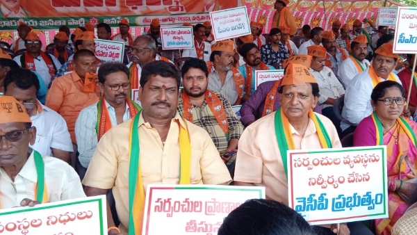  janasena 