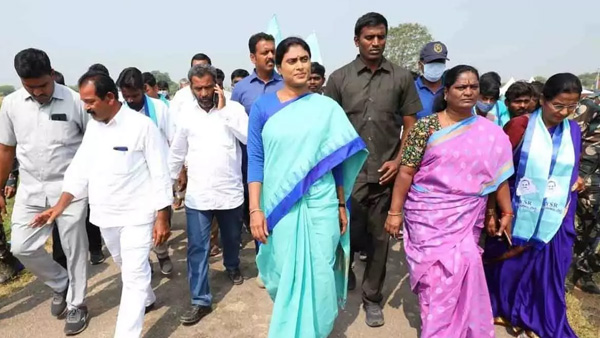 Ysrtp president YS Sharmila gets a place in Indian Book of Records