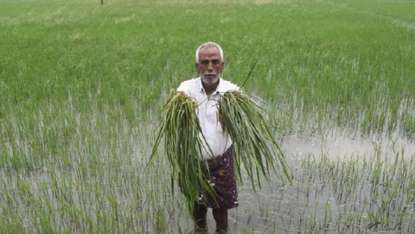 Due to rains Due to rains