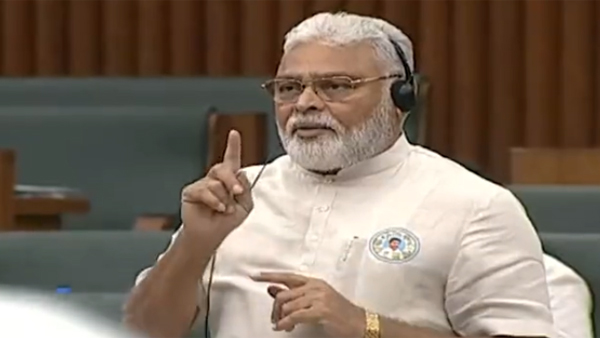 minister ambati rambabu suggestions to balakrishna over tdp