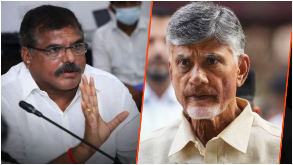 ap minister botsa satyanarayana assures chandrababu security, says govt take responsibility if...