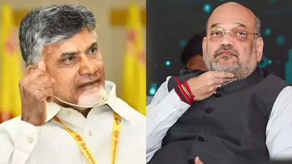 why bjp supports ys jagans fight against chandrababu ?