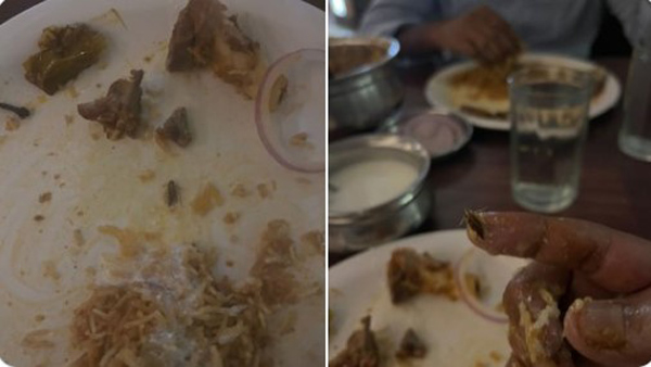 ‘Cockroach in biryani’: customer seeks action against restaurant in Hyderabad