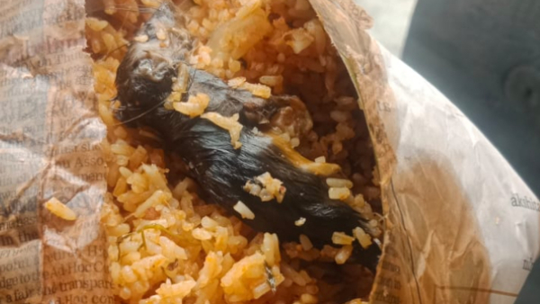 dead rat was found in the food