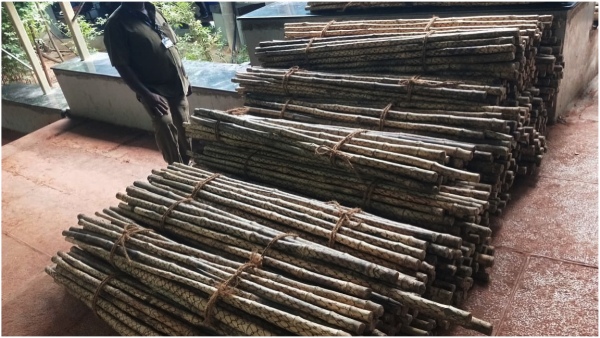 ttd chairman bhumana karunakar reddy kick starts to distributes to sticks to the devotees ttd chairman bhumana karunakar reddy kick starts to distributes to sticks to the devotees