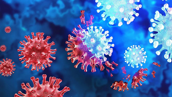 Another pandemic threat to the world.. Disease X!!