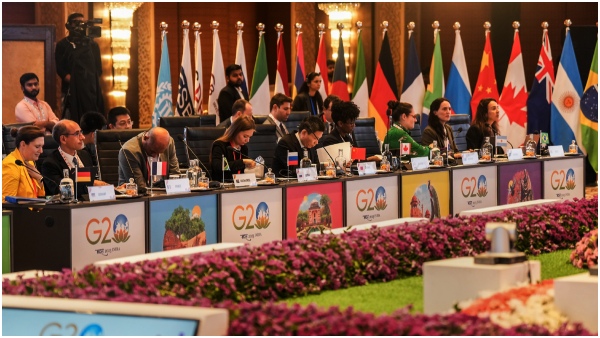 A taste of local flavors: G20 Summits exclusive menu features street food and millet creations