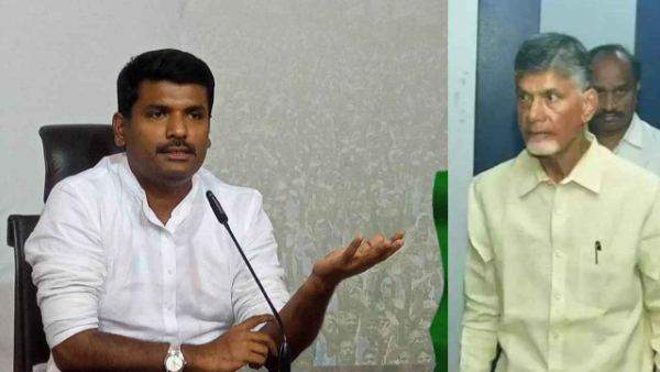 Minister Gudivada Amarnath slams tdp protests 