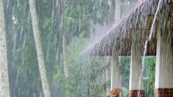 Heavy Rains