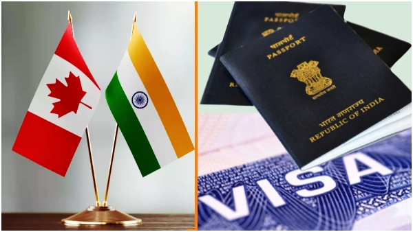 Indian visa services in canada have been suspended till further notice