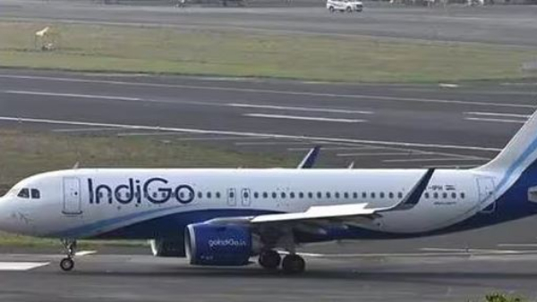 IndiGo