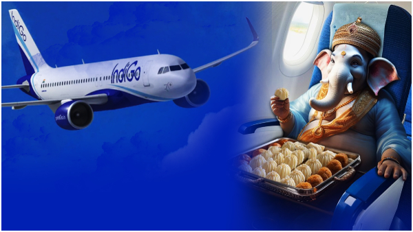 indigo flight tickets cost