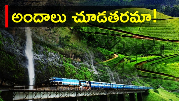 irctc araku package details