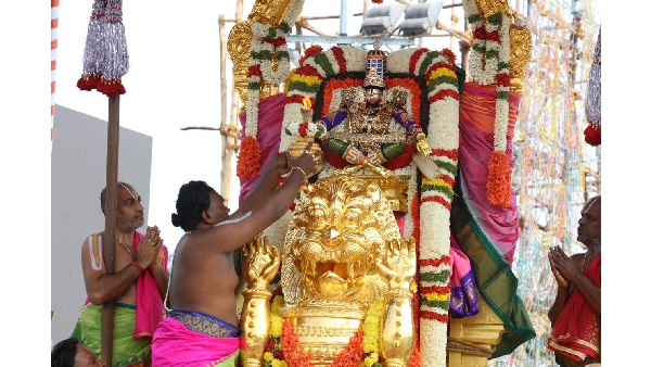 Sri Malayappaswamy in decoration of Yoganarasimhu on lion vehicle in Tirumala.