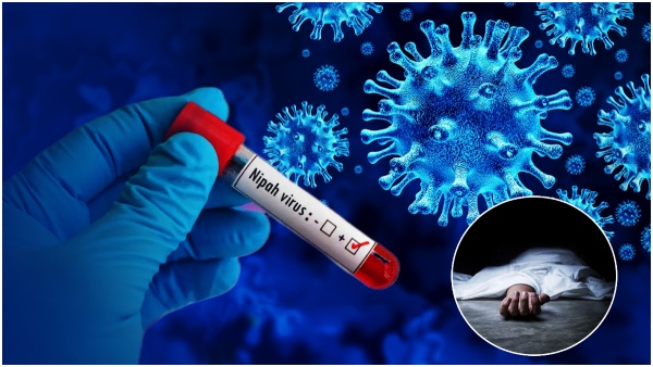 Nipah virus cases in Kerala have been on the decline, said the states health minister