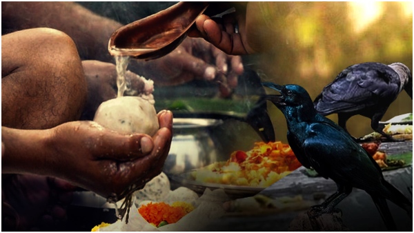 Pitrupaksam 2023: Dont do these things even by mistake.. Bad luck!!