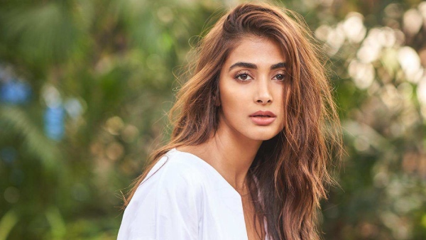 pooja hegde will marry with star cricketer