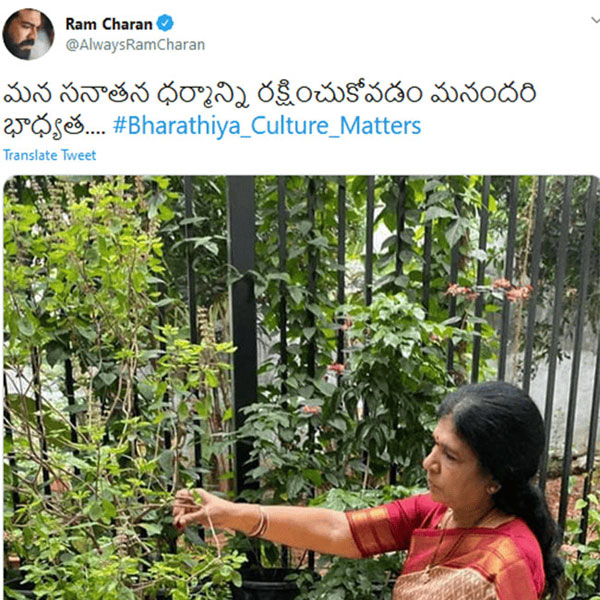 udhayanidhi stalin comments and ram charan tweet viral